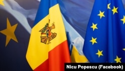 Decizia va intra în vigoare în a treia zi de la data publicării în Jurnalul Oficial al Uniunii Europene. 