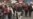 16x9 Image