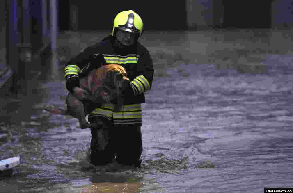 Spasilačke službe spašavaju kuče u poplavama koje su pogodile Severnu Mitrovicu na Kosovu, 19. januar 2023.
