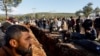 Թուրքիայում երկրաշարժից զոհվել է Ադրբեջանի առնվազն չորս քաղաքացի