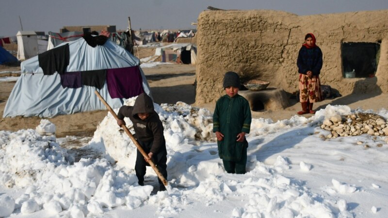 میل آنلاین: سردی هوا امسال در افغانستان در ده سال اخیر بی‌سابقه است