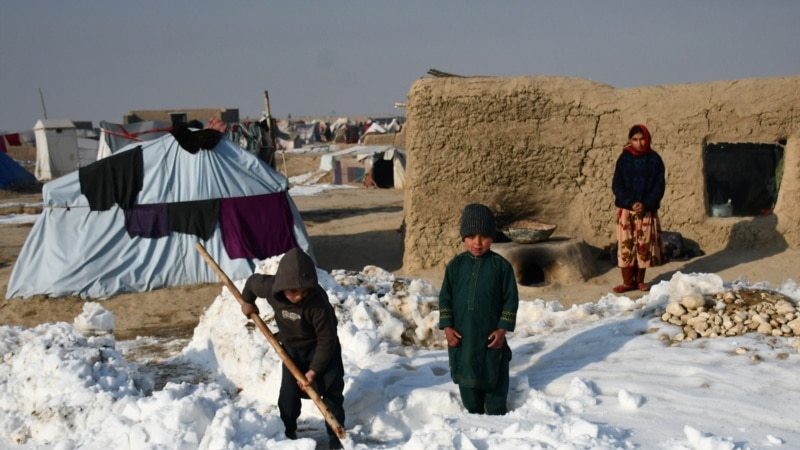 «Самая холодная зима за последние годы». Десятки человек стали жертвами морозов в Афганистане