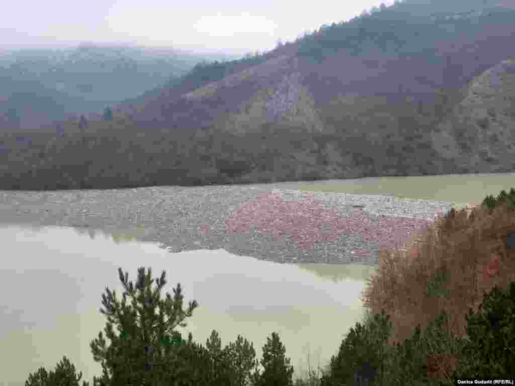 Floating barriers were installed four years ago to protect the turbines at Potpec hydropower plant near Priboj.