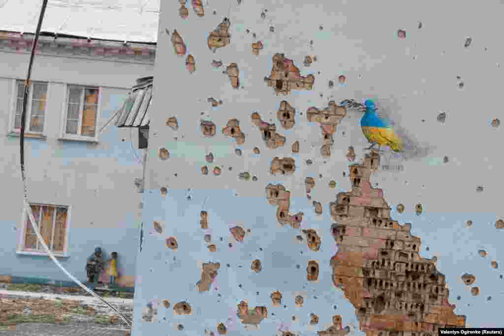 Блакитножовтий голуб на пошкодженій обстрілами стіні. Малюнок відомого вуличного художника Tvboy на Будинку культури в Ірпені, що під Києвом, 29 січня 2023 року.