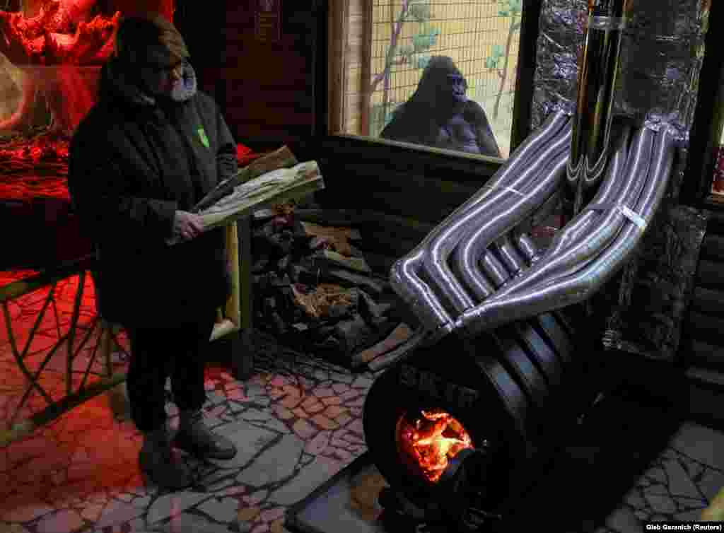 Tony, a 48-year-old gorilla, sits near the wood stove that heats his enclosure at the Kyiv Zoo amid Russia&#39;s attacks on Ukraine on January 31.