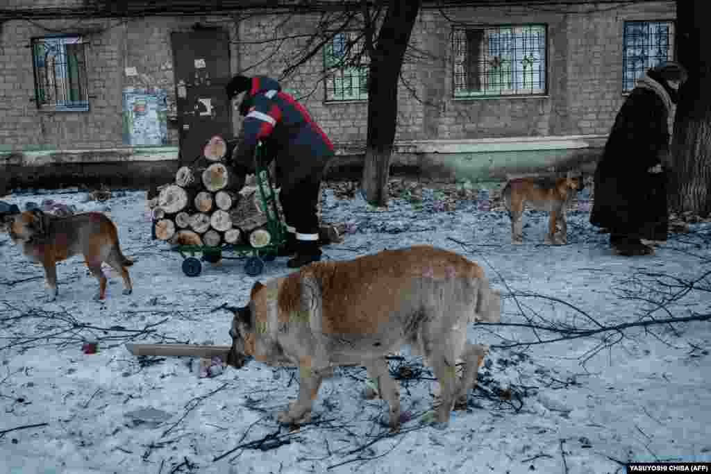 Многие жители бежали. В городе остались в основном пожилые, бедные или ухаживающие за больными родственниками