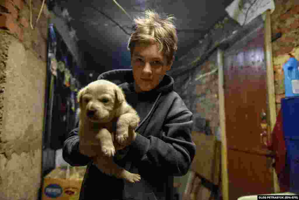 Evelina with her puppy Umka. &quot;At the moment, we do not recommend people to return here. On the contrary, they&#39;re better off in safer places and cities,&quot; Zhuravlov said. &quot;There are no comfortable living places here, for now.&quot; &nbsp;