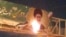 Videos posted on social media in recent days have shown protesters in several Iranian cities set fire to propaganda banners hung by the government to promote the revolution and anniversary celebrations around it.