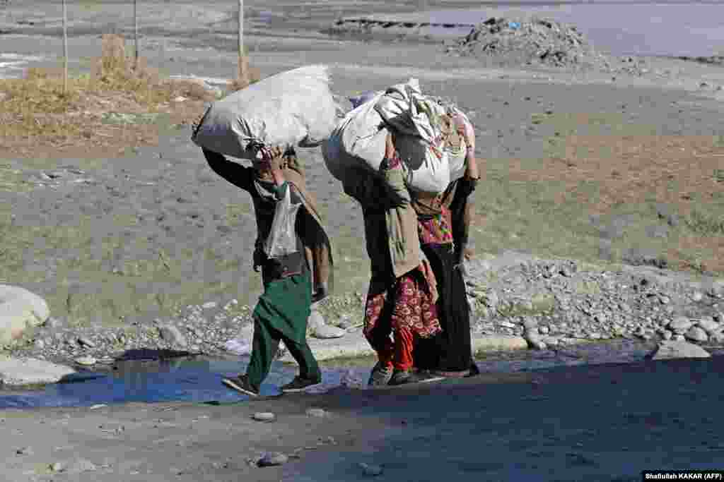 Afghan girls collect firewood for their homes in the Kuz Kunar district of Nangarhar Province on January 16. &nbsp;