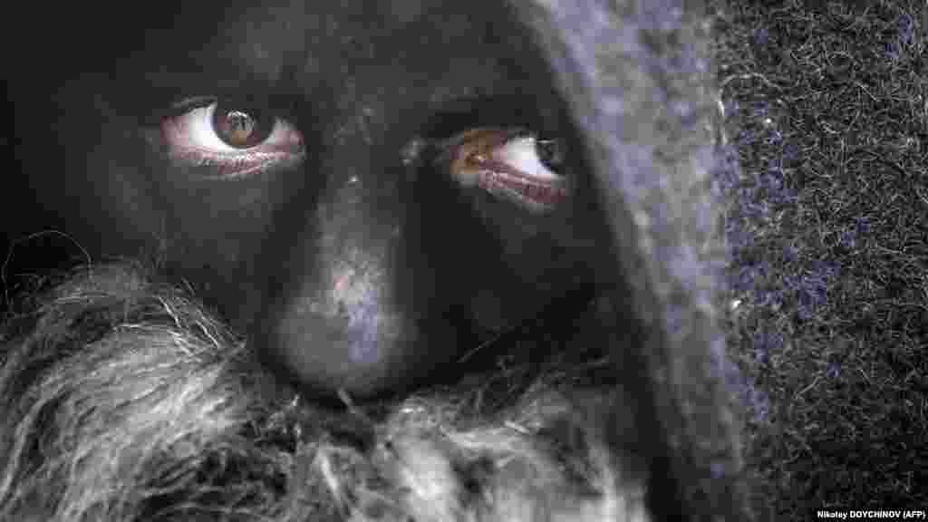 Festival prate predstave, demonstracije i bazari, ali su unikatno obučeni učesnici glavna atrakcija. &nbsp;