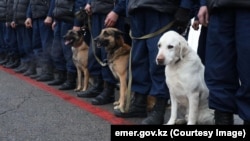 Ministerul pentru Situații de Urgență din Kazahstan a a trimis salvatori, medici și câini de căutare din Almatî în Turcia, 7 februarie 2023