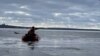 Дніпропетровщина: з криги, що дрейфувала, врятували 41 рибалку – ДСНС