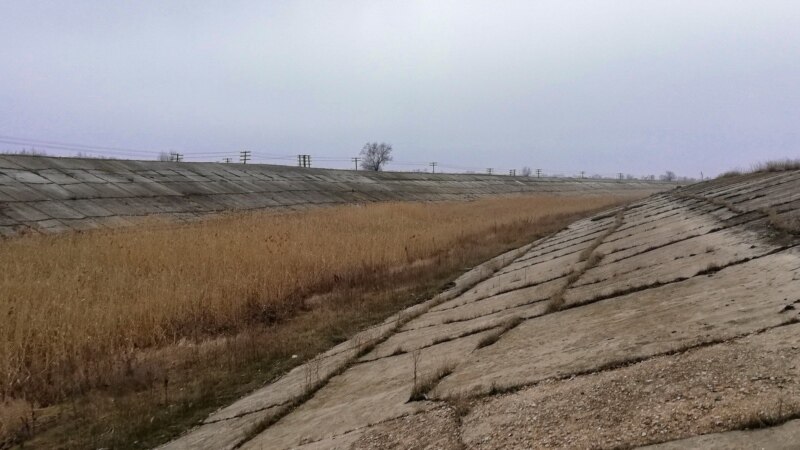 Заросли камыша и травы: как выглядит Северо-Крымский канал после заявления России о «пуске воды в Крым»