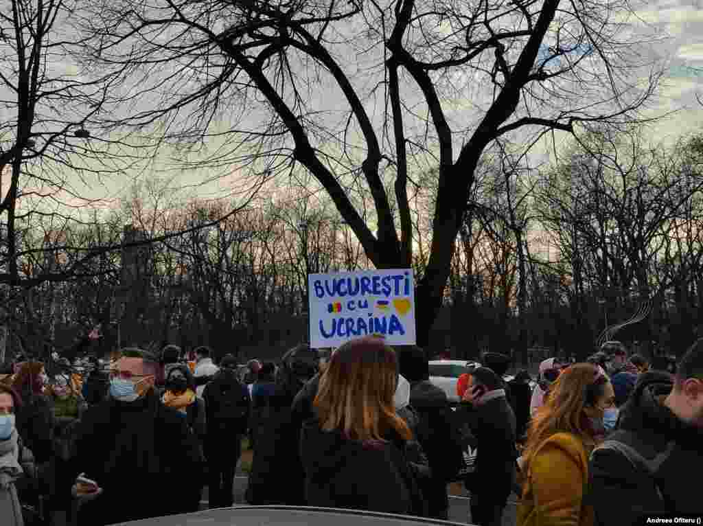 Mulți demonstranți de la București au ținut afișe în care îndemnau la pace și solidaritate.