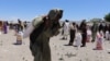 مردم در غرب افغانستان: کمک های سازمان ملل زنده گی ما را نجات داده است