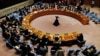 Рада безпеки ООН відхилила проєкт резолюції від Росії про «гуманітарну ситуацію» в Україні