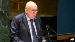 Russia's United Nations ambassador, Vasily Nebenzya, speaks at a UN General Assembly. (file photo)