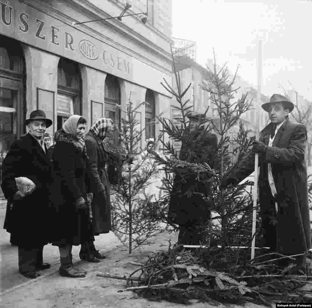Karácsonyfavásár a Krisztina körúton 1953-ban