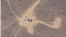 Спутниковые снимки Google Maps
