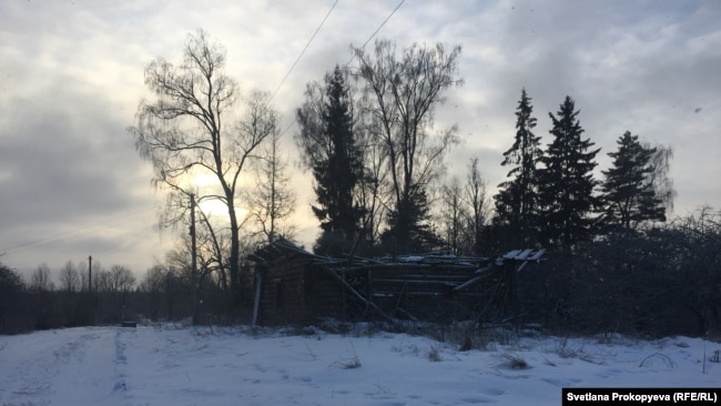 Деревня Барашково, Красногородский район, Псковская область. С 29 ноября - без электричества в сети