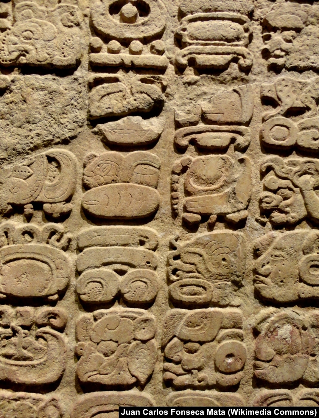 Yuri Knorozov: The Maverick Scholar Who Cracked The Maya Code