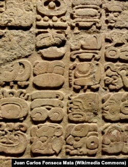 Primjer nekih drevnih natpisa Maja, koji su vijekovima ostali nedešifrirani prije nego što je Knorozovljev revolucionarni rad objavljen.