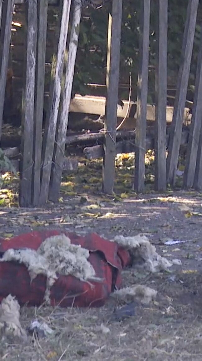 'That's My Daughter,' Father Cries As He Sits Next To Her Body After Russian Attack