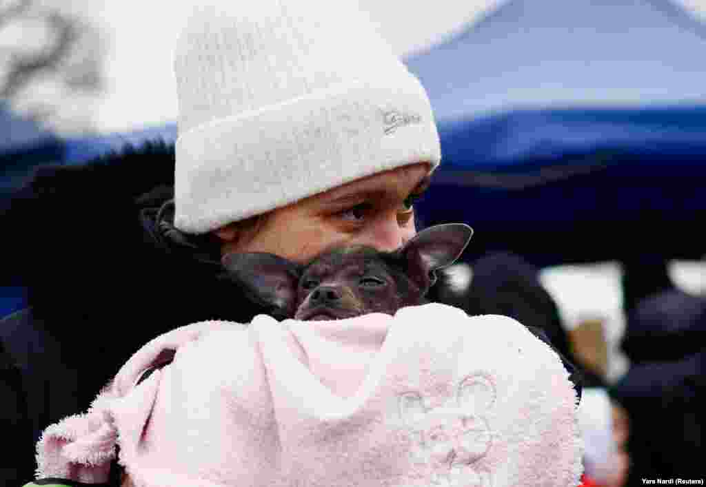 Kutya és gazdája egy átmeneti lengyel menekülttáborban február 28-án