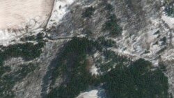 Спутниковый снимок компании Maxar с российской техникой в лесополосе