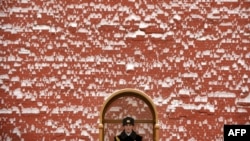 A crumbling facade? A guard stands guard at the Kremlin in Moscow.