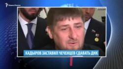 Видеоновости Кавказа. 28 мая