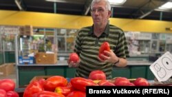 "Paradajz se nekada kupovao na kilo, a danas na komad", kaže poljoprivrednik Aca Nedeljković.