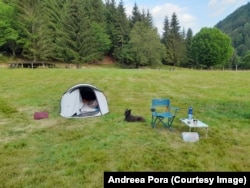 În campingul 7 Crai, aflat pe Valea Bîrsei, erau doar trei rulote, pe care turiștii le lăsaseră acolo și un singur cort. Un camping în care e liniște (cam prea multă). Urșii preferă stâna aflată mai sus pe vale. În schimb vulpile vin la furat.