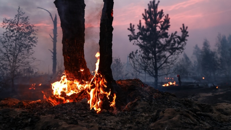 Лесной пожар на границе Нижегородской области и Марий Эл перемещается на запад и угрожает поселку Кузьмияр