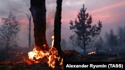 Лесные пожары в Рязанской области, август 2022 года