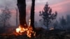 В Хабаровском крае площадь лесных пожаров выросла в полтора раза