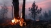 Лесной пожар в Тюмени, архивное фото