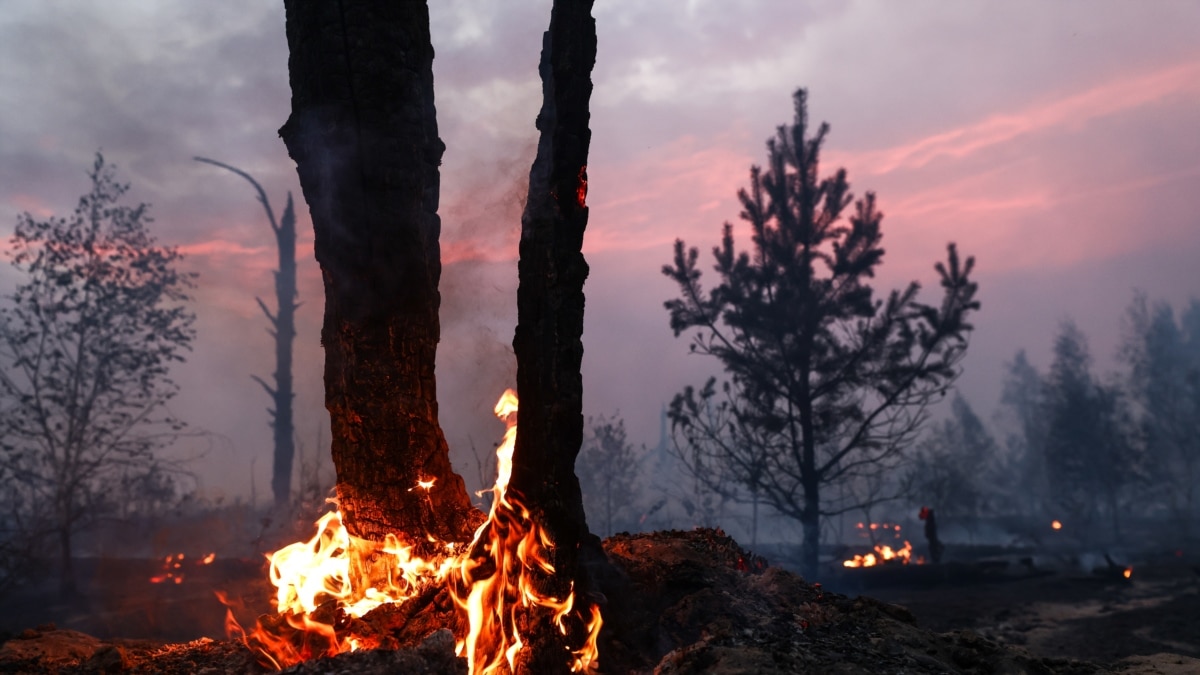ძლიერი ქარიშხლის გამო ციმბირში ხანძარი მძვინვარებს. არიან დაზარალებულები