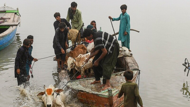 Над 100 загинати за 24 часа во Пакистан поради поплавите