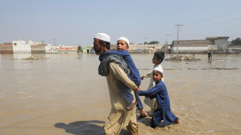 В Пакистане продовольственный кризис из-за наводнения