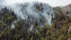 Кадры с дрона – лесной пожар в Боржоми