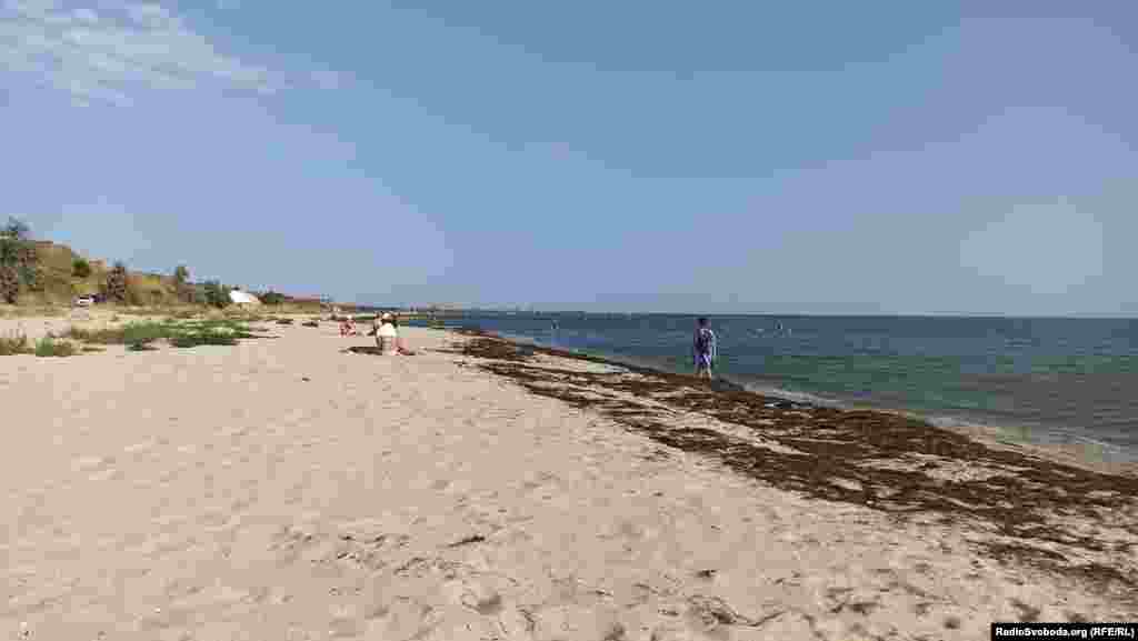 Пустий пляж у водоростях, мікрорайон АКЗ