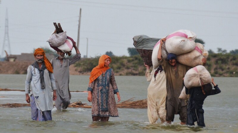 په پاکستان کې سیلابونه: نږدې ۱۲۰۰ کسان وژل شوي