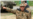 16x9 Image