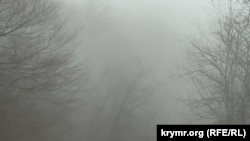 Ілюстрацыйнае фота 