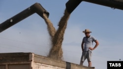 Во время уборки урожая зерновых, иллюстративное фото