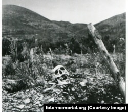 Egy talán éhes állatok által kikapart koponya egy tipikus Gulag-sírjelzés mellett az orosz Távol-Keleten található Kolimában