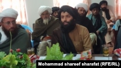 "All employees are forbidden to shorten their beards and must come to work wearing turbans," Mulawi Taib, a senior Taliban official in Uruzgan, told a gathering on January 16. 