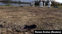 Мамандар құстардың өлексесін жинап, сынама алып жүр. Көрнекі сурет.