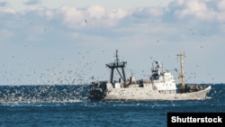 Вылов рыбы в Черном море 